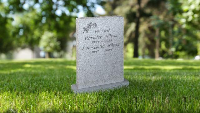 Bild av Stenmodell GRF 1007