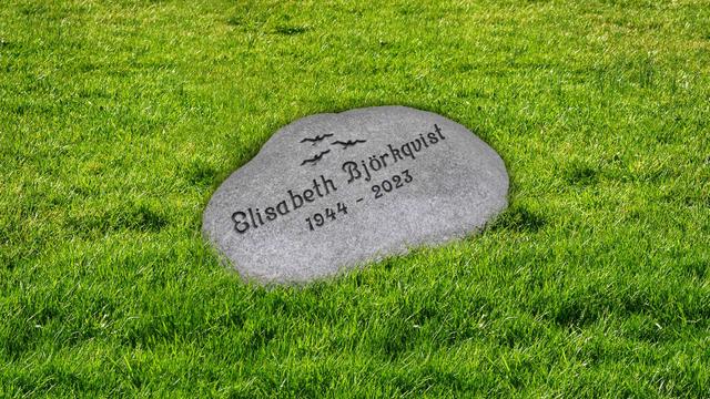 Bild av Stenmodell GRF 1009