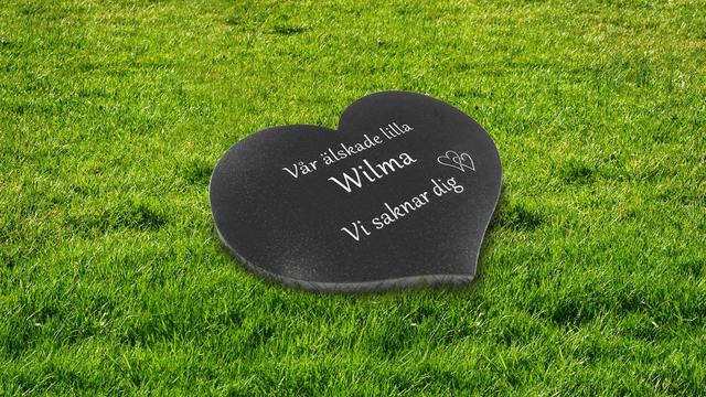 Bild av Stenmodell L670