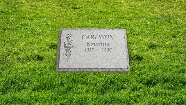 Bild av Stenmodell L661