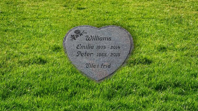 Bild av Stenmodell EN113