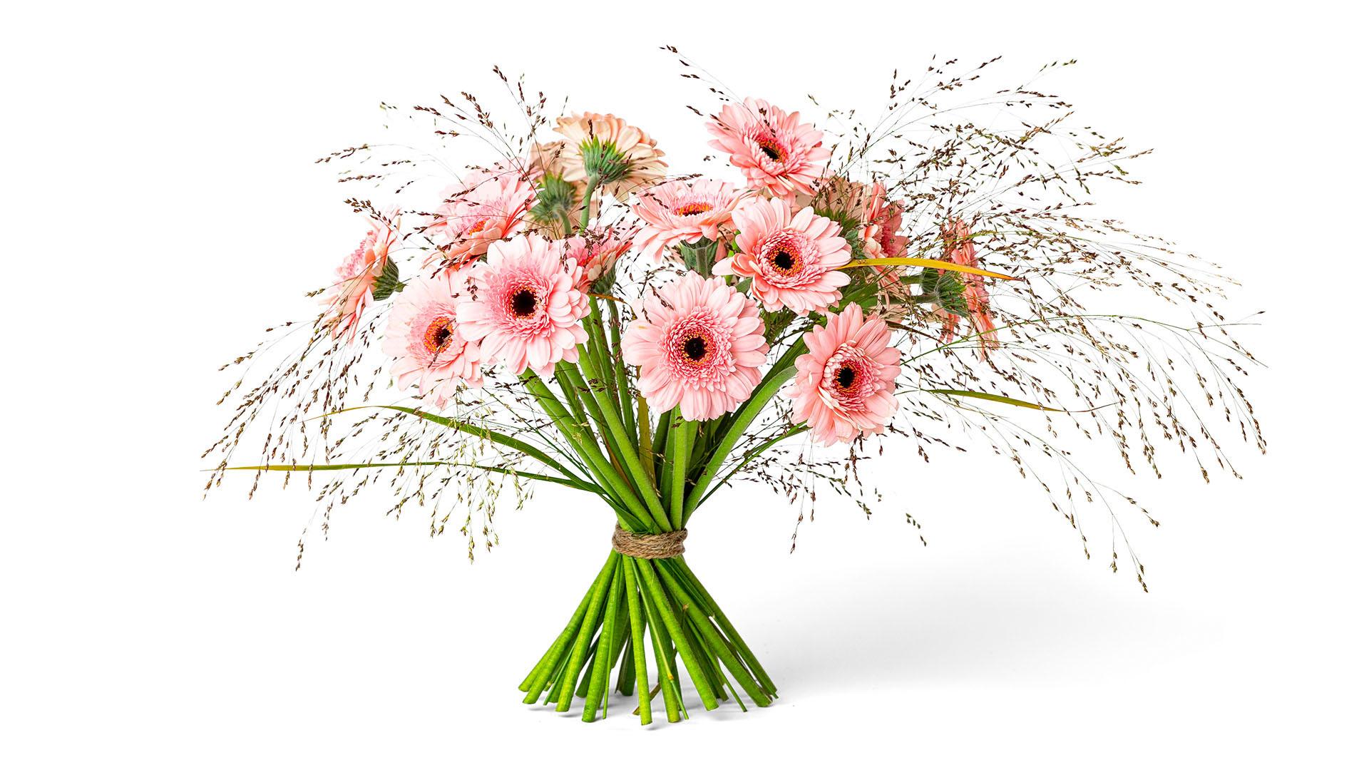 Bild av Bukett - Skimrande germini